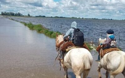 Desastre agropecuario: Se viene otra tanda de lluvias con acumulados superiores a los 100 milímetros en las zonas inundadas