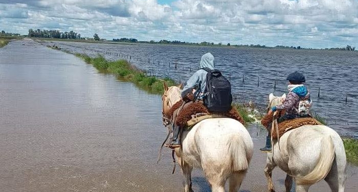 Desastre agropecuario: Se viene otra tanda de lluvias con acumulados superiores a los 100 milímetros en las zonas inundadas