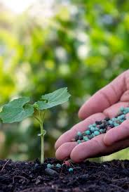 Fertilizar: Celebramos la ciencia que alimenta al mundo