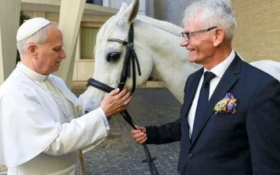 Regalan al Papa León XIV un caballo purasangre árabe llamado “Proton”