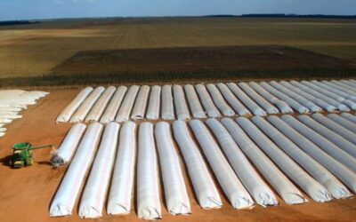 Más del 40 % de la producción nacional se conserva en silobolsas
