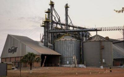 Brasil sigue creciendo en capacidad de procesamiento de soja, mientras que la Argentina se estancó ¿Por qué será?