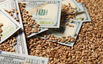 Con lo liquidado entre enero y octubre, 2025 ya es el tercer mejor año en aporte de dólares del agro ?