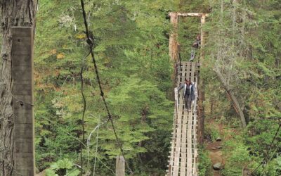 Modo vacaciones: imperdible guía con los mejores atractivos de El Bolsón y la Comarca Andina
