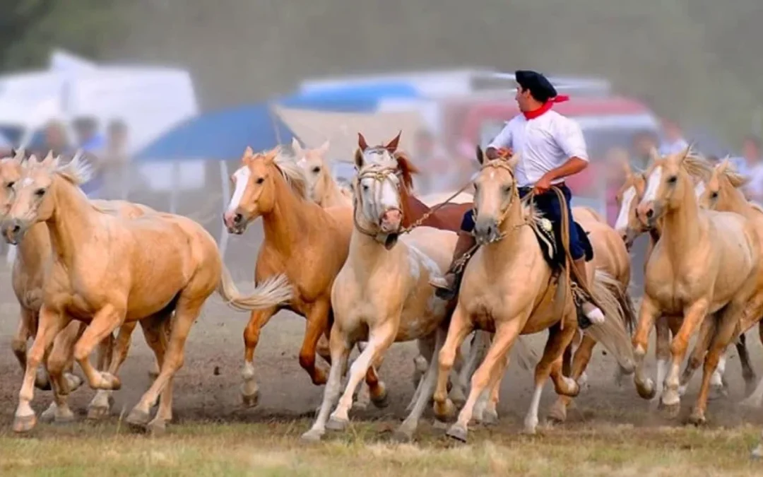 Fogones, shows y cabalgatas: las mejores fiestas rurales de octubre para disfrutar en Buenos Aires