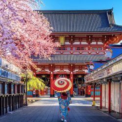 Cuánto sale un tour a Japón, el país de moda para los argentinos