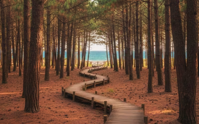 Ni Cariló ni Pinamar: la playa del “millón de pinos” que está a 4 horas de Buenos Aires, ideal para el verano