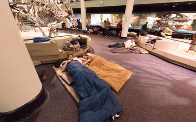 Dormir en museos y acuarios, la nueva tendencia global