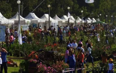 Buenos Aires y Córdoba encienden la primavera con fiestas tradicionales al aire libre: ¿cuándo y dónde?