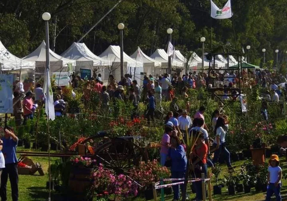 Buenos Aires y Córdoba encienden la primavera con fiestas tradicionales al aire libre: ¿cuándo y dónde?