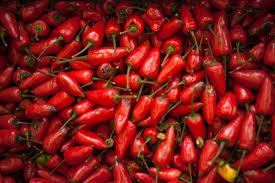 Argentina actualiza su reglamento sobre calidad del pimiento en línea con el Mercosur