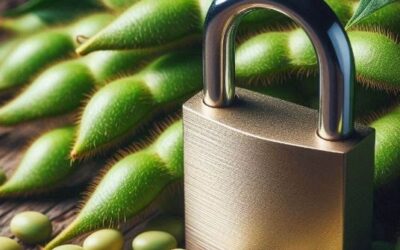 ¡Otra vez! Las “retenciones cambiarias” van camino a superar el 10%