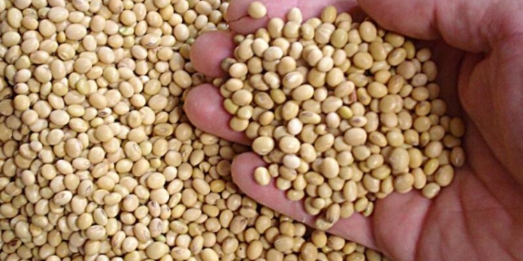 Desde Formosa, arribó a Rosario el Primer Lote de Soja de la campaña 2025/26