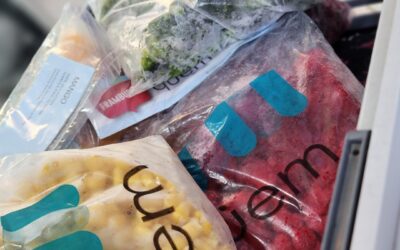 ¿Por que invertir en alimentos congelados ? Márgenes del 50% y 0 desperdicio