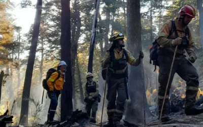 El incendio en Epuyén arrasó más de 200 hectáreas