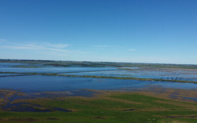 Desmedida y Sideral: Un municipio bonaerense con el 60% bajo agua, busca cobrar una Tasa Vial del 184%.