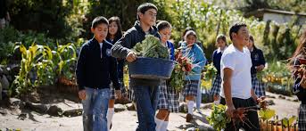Informe de la FAO destaca el rol crucial de los jóvenes para transformar los sistemas agroalimentarios en América Latina y el Caribe