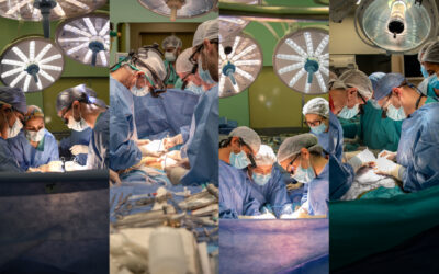 Para tener en cuenta: El Garrahan realizó cuatro trasplantes en 34 horas