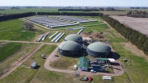 Pacuca transforma la producción porcina: un caso modelo de economía circular en Argentina