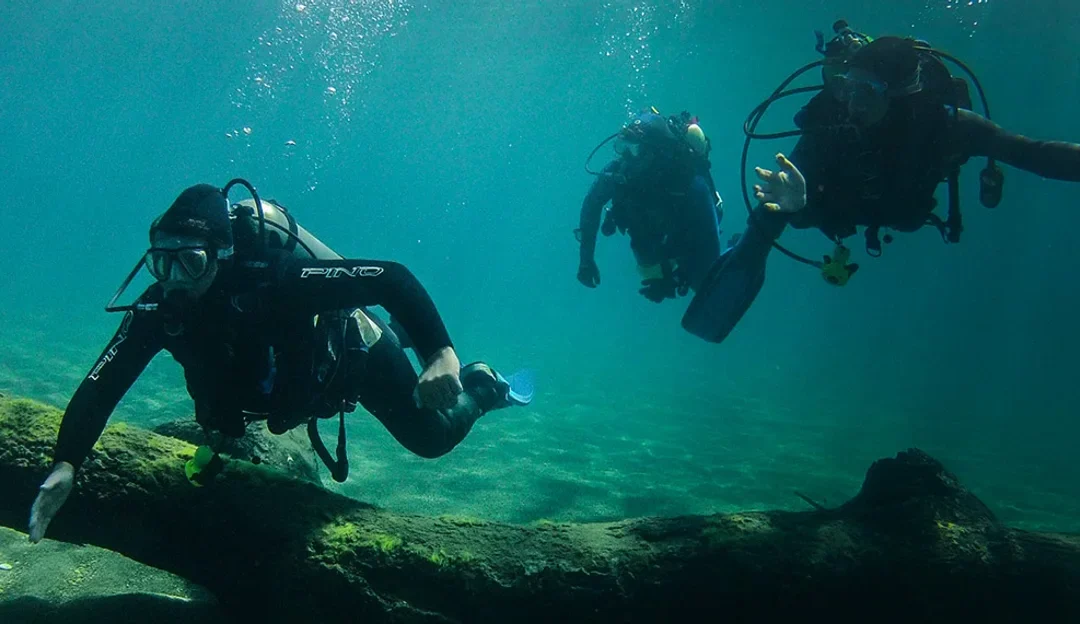 Dónde bucear en Argentina además de Puerto Madryn: destinos, niveles y experiencias imperdibles