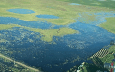 Cuando el agua ahoga, el Estado tira un salvavidas de plomo