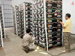 Se certificó el primer envío de naranjas frescas desde la provincia de Entre Ríos a Ecuador