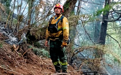 Ya se quemaron casi cien hectáreas por un incendio forestal en Epuyén
