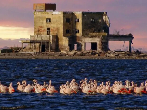 Con laguna y flamencos: el pueblo argentino ideal para el verano que fue declarado “sitio Ramsar”