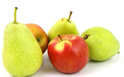 Evalúan el comportamiento productivo de manzanas de pulpa roja en el Alto Valle