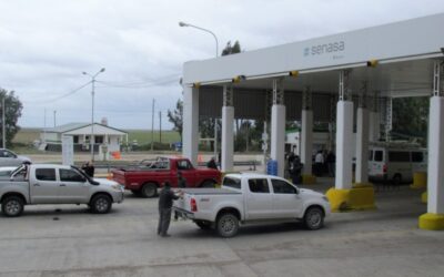 Recomendaciones a los turistas para prevenir el ingreso de la Mosca de los frutos