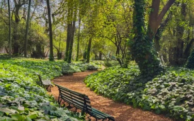 Los refugios climáticos del Gobierno porteño para hacerle frente al calor