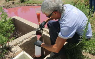 El presidente de un frigorífico fue procesado por contaminar el Río Salado