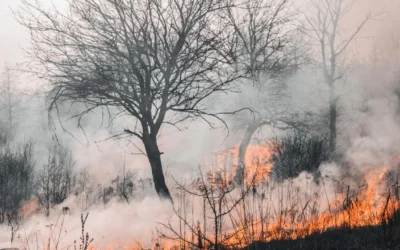 Riesgo «extremo» por incendios forestales en varias provincias