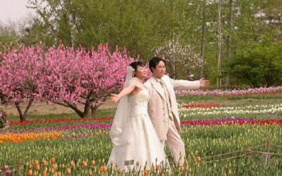 China registra un leve aumento de matrimonios, pero persisten las dudas sobre un cambio cultural real