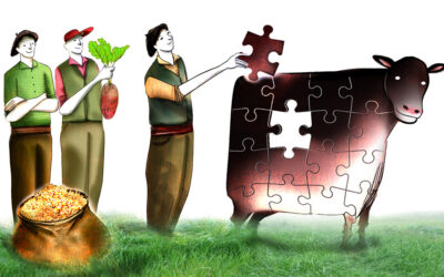 Reingeniería. Multiplican por 15 su producción de carne en seis años