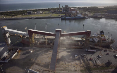 Agroexportaciones: noviembre de 2025 fue el mejor de la última década