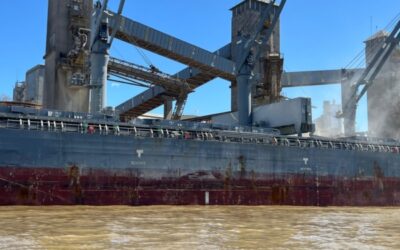 Ya se cubrió el cupo de soja 2025/26 libre de retenciones pero los precios siguen cotizando con “anabólicos” ¿Por qué?