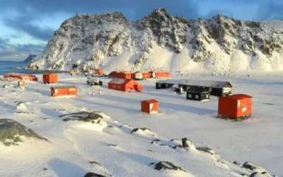Fueron a la Antártida, quedaron varados y no saben cuándo vuelven