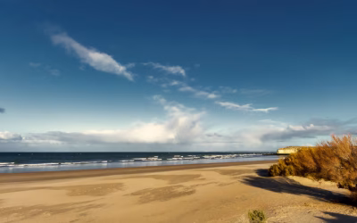 Ni Mar del Plata ni Pinamar: la playa a 5 horas de Buenos Aires con un bosque lleno de vida, ideal para el verano