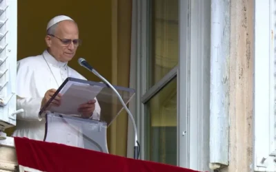 Jornada Mundial de la Paz 2026: ¿Por qué una paz no violenta y sin armas?