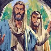 “Hemos contemplado la gloria del Verbo”