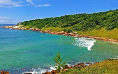 Verano 2026: cómo y dónde vacacionarán los argentinos