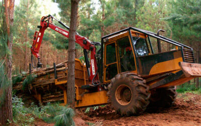 El RENATRE certificó en Prácticas Laborales Sostenibles a la primera empresa forestal del país y de Misiones