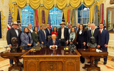 Mientras cae la soja: Trump pagará US$12.000 millones a los agricultores norteamericanos afectados por la “guerra” comercial con China