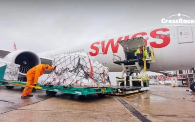 Viajes: El Gobierno habilita a una nueva empresa a prestar servicio de Rampa