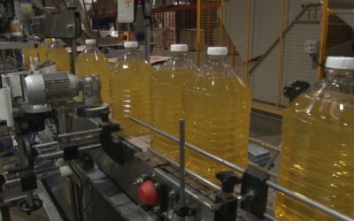 La industria aceitera argentina registró en 2025 un volumen récord de procesamiento de oleaginosas