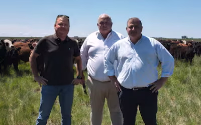 Desde Nueva Zelanda: llegó al país hace 30 años y creó una solución para un problema que pocos miraban