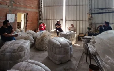 Patagonia: Se pagó un promedio de 9 dólares por el pelo de cabra mohair