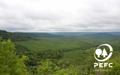 PEFC Argentina renueva su conducción y pone el foco en PyMEs y sostenibilidad