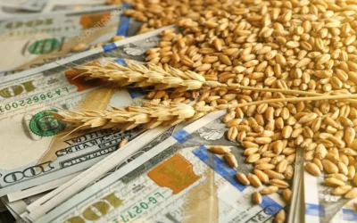 Mapa comercial del trigo en Argentina